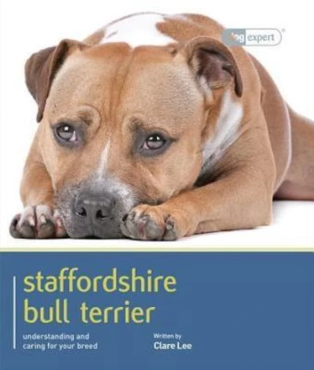Staffordshire Bull Terrier - Dog Expert by Clare Lee Paperback