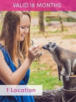 Activity Superstore Meet The Meerkats, Servals And Lemurs At Hoo Farm For Two