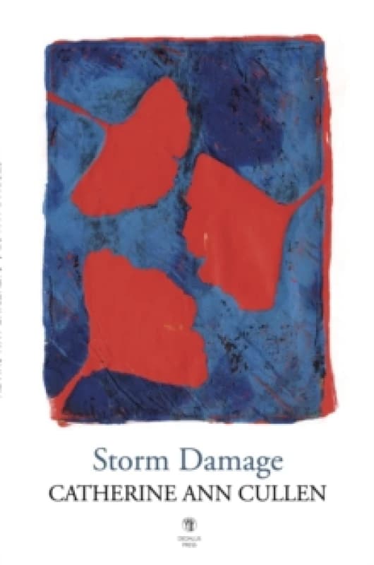Storm Damage Paperback / softback