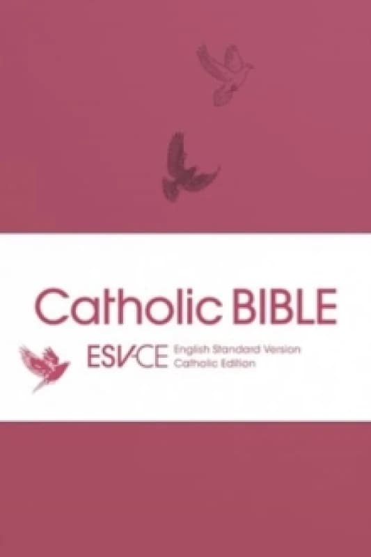 ESV-CE Catholic Bible. The Official Liturgical Bible for England, Wales and Scotland from Advent 24. Paperback. By SPCK ESVCE Bibles Books
