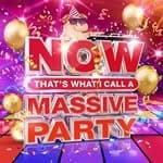 Various Artists - NOW That's What I Call A Massive Party (Music CD)