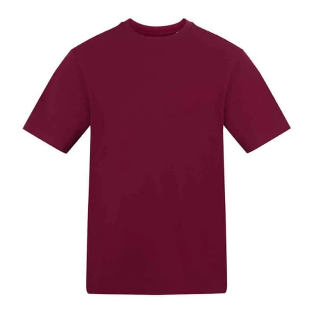 AWDis AWDis Men 180 T-Shirt in Burgundy Size: Small Burgundy S Male 5063703684088