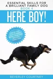 Here Boy! : Step-By-Step to a Stunning Recall from Your Brilliant Family Dog