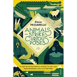 Animals Strike Curious Poses Paperback / softback 2018