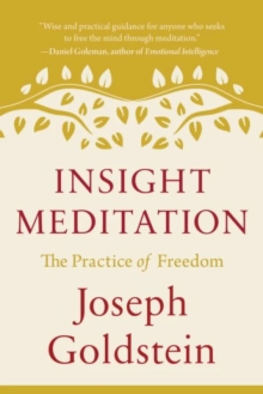 Insight Meditation : The Practice of Freedom Paperback / softback