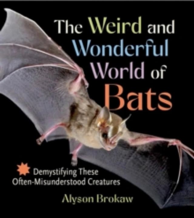 The Weird and Wonderful World of Bats : Demystifying These Often-Misunderstood Creatures Paperback / softback