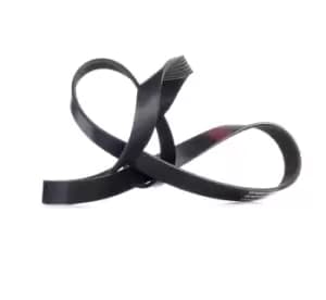 RIDEX V-ribbed belt 305P0170 Serpentine belt,Auxiliary belt VW,MERCEDES-BENZ,FORD,Transporter IV Bus (70B, 70C, 7DB, 7DK, 70J, 70K, 7DC, 7DJ)