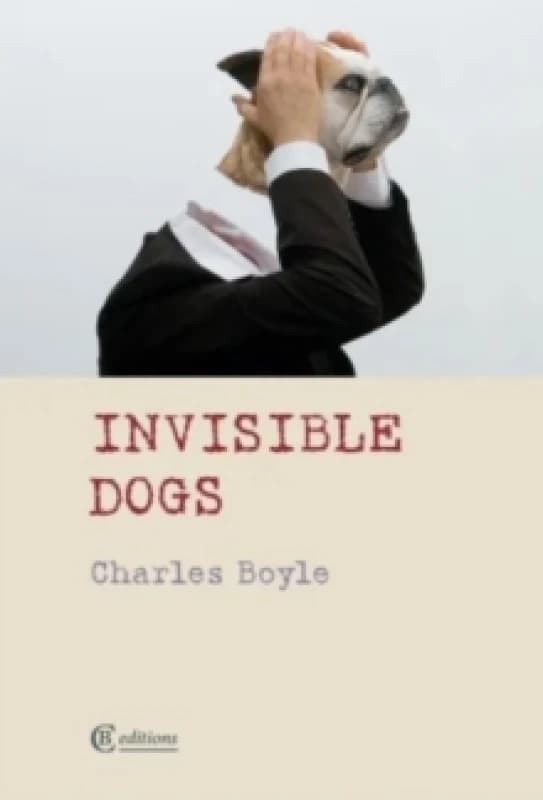 Invisible Dogs Paperback / softback
