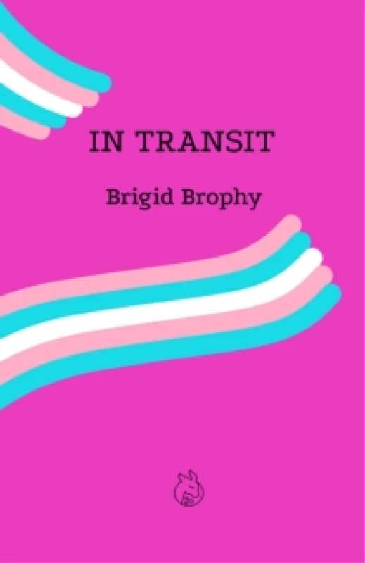 In Transit Paperback / softback