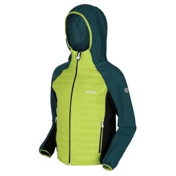 Regatta Kielder Hybrid V Insulated Jacket - BrKiw/PacfGr