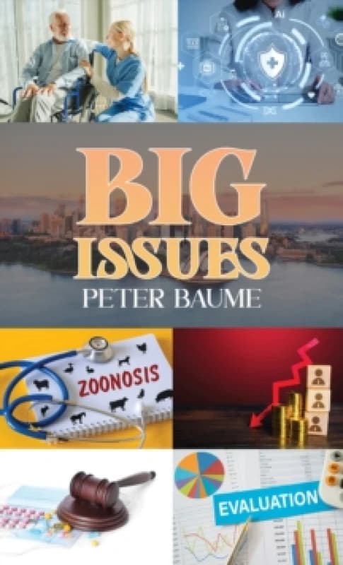 Big Issues. Paperback. By Peter Baume Books
