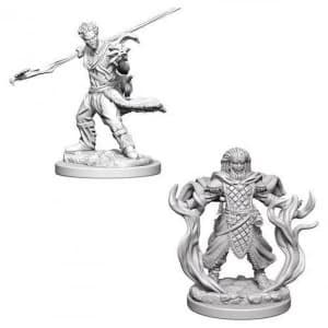 Dungeons & Dragons Nolzur's Marvelous Unpainted Miniatures - Human Male Druid