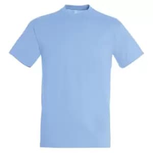 SOLS Mens Regent Short Sleeve T-Shirt (L) (Sky Blue)