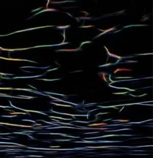 Biokinetics by Porter Ricks CD Album