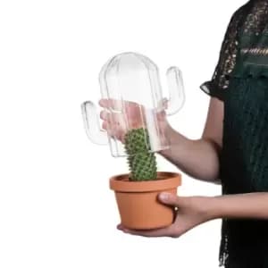 Cactus Terrarium