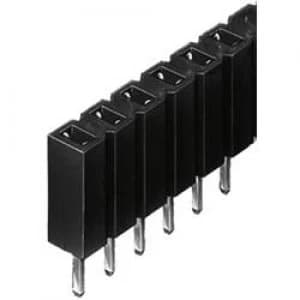 Fischer Elektronik BL 1 36Z