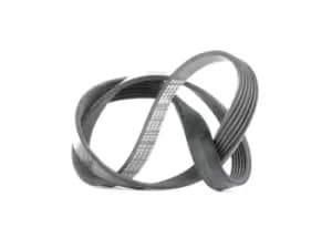 Bosch V-ribbed belt FORD,VOLVO 1 987 946 132 1322009,1354254,1354256 Serpentine belt,Auxiliary belt,Poly V-belt,Ribbed belt,Multi V-belt,Poly belt