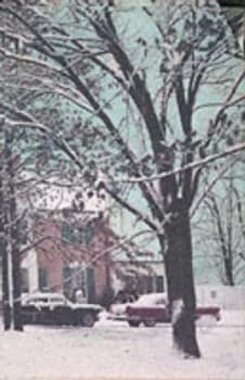 Last Train to Memphis by Peter Guralnick Paperback