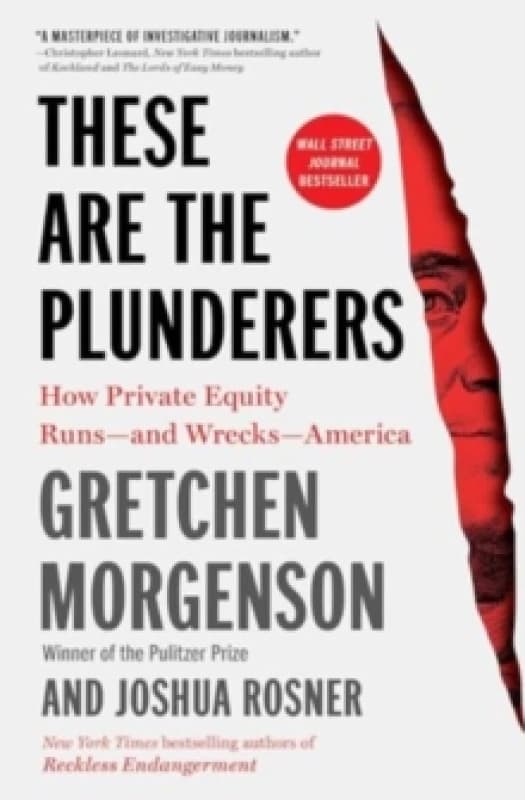These Are the Plunderers : How Private Equity Runsand WrecksAmerica Paperback / softback