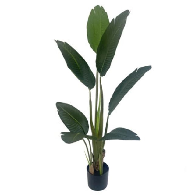 Leaf 120cm UV Traveller Banana Palm Tree Green