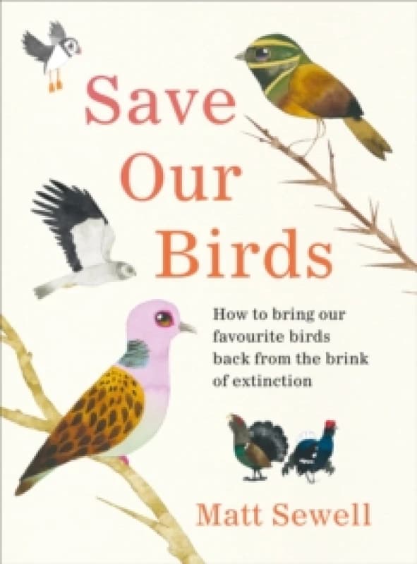 Save Our Birds : How to bring our favourite birds back from the brink of extinction Hardback