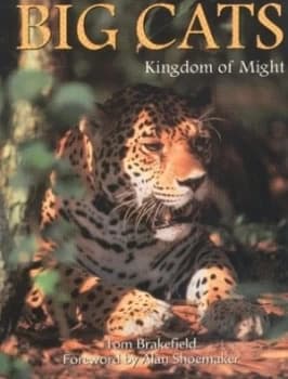 Big Cats by Tom Brakefield Paperback