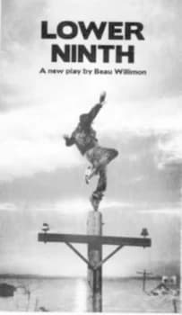 Lower Ninth by Beau Willimon Paperback