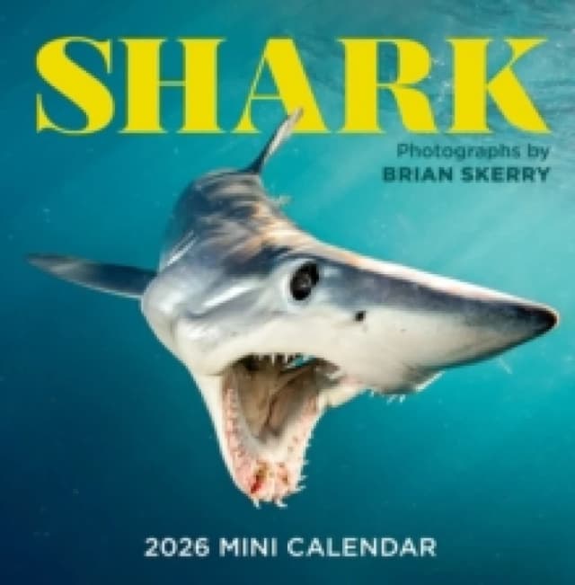 Shark Mini Wall Calendar 2026 Calendar
