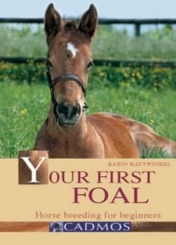 Your First Foal by Karin Kattwinkel Hardback
