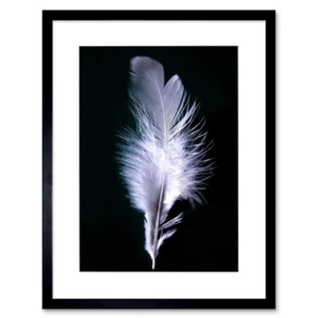 Artery8 Black White Photo Bird Feather Home Decor 12X16" Framed Wall Art Print