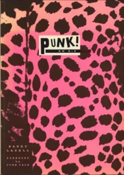 Punk by Barry Lazell Hardback