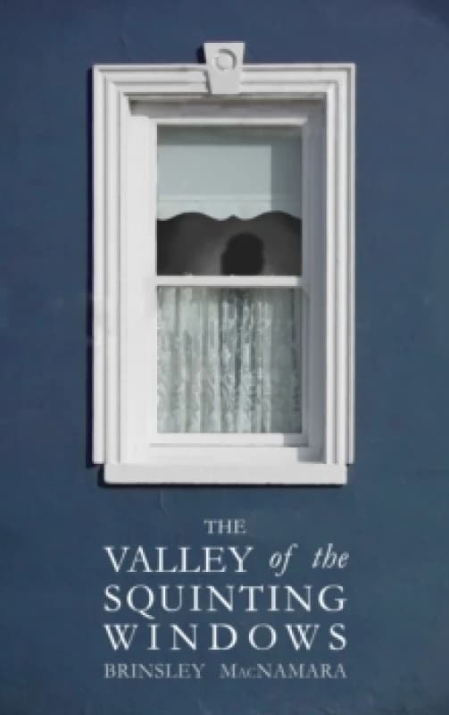 The Valley of the Squinting Windows Paperback / softback