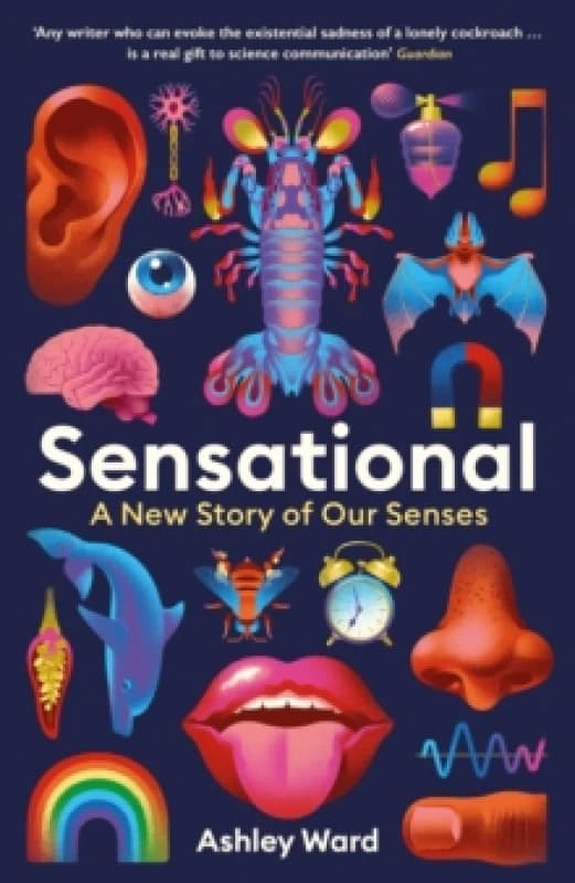 Sensational : A New Story of our Senses Paperback / softback