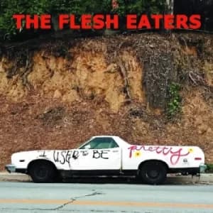 I Used to Be Pretty by The Flesh Eaters CD Album