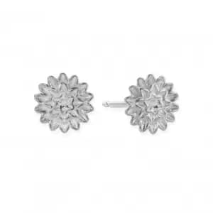 Botanical Beauty Stud Earrings SEST3298
