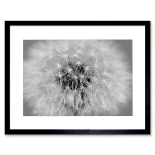 Artery8 Photo Black White Dandelion Seeds Home Decor 12X16" Framed Wall Art Print