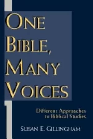 one bible many voices different approaches to biblical studies