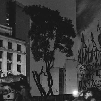 Manuel Pessoa de Lima - Realejo Vinyl