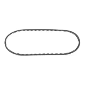 RIDEX V Belt 10C0019 Fenner Belt VW,AUDI,BMW,GOLF I Cabriolet (155),GOLF I (17),SCIROCCO (53B),Passat Variant (33B),PASSAT (32B),SCIROCCO (53)