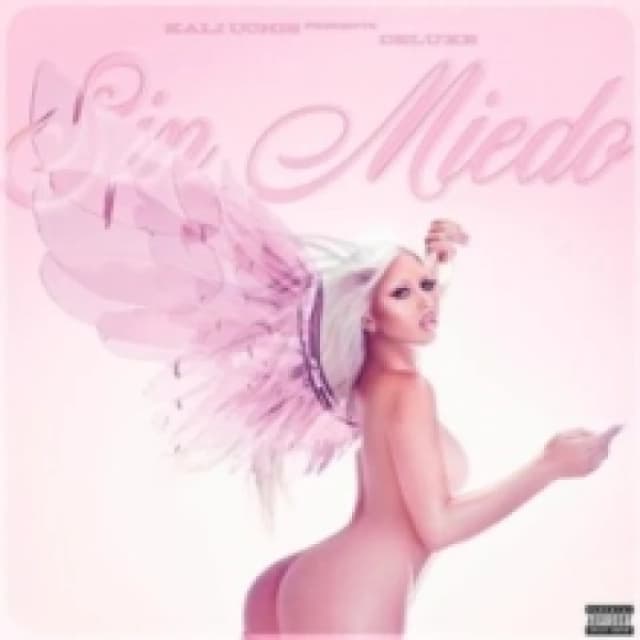 Sin Miedo (Del Amor Y Otros Demonios) Vinyl