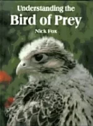 understanding the bird of prey