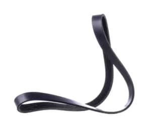 RIDEX V-ribbed belt VW,AUDI,FORD 305P0165 03G903137A,128051,128065 Serpentine belt,Auxiliary belt,Poly V-belt,Ribbed belt,Multi V-belt,Poly belt