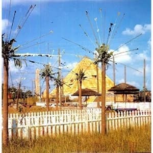 Satanized Technical Virginity Vinyl