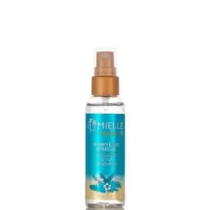 Mielle Moisture RX Hawaiian Ginger Scalp Treatment 57g