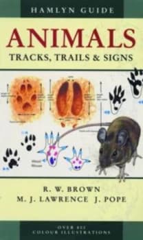 Animals Tracks Trails and Signs by R.W Brown Paperback