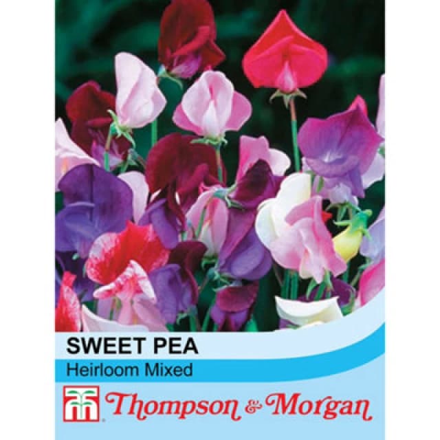 Thompson & Morgan Sweet Pea Heirloom Mixed 1 Seed Packet (20 Seeds)