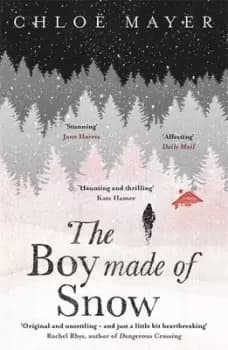 The boy made of snow by Chlo Mayer