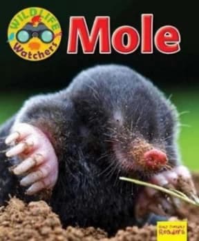 Wildlife Watchers Mole 2017 by Ruth Owen Paperback