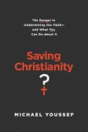 saving christianity the danger in undermining our faith and what you can do