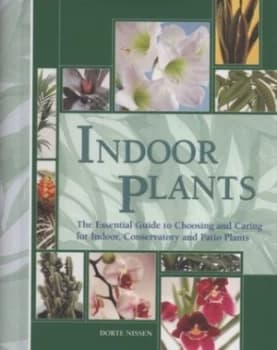 Indoor Plants by Dorte Nissen Hardback
